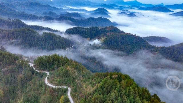 云雾为墨 这里的山色自带“滤镜”