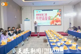 【贵果百香 领鲜味来】贵州省第二届枇杷品鉴会在贵阳举行图片