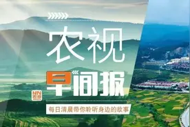 荔枝丰年，荔枝不贵，贵的是运费？ | 来听新闻图片
