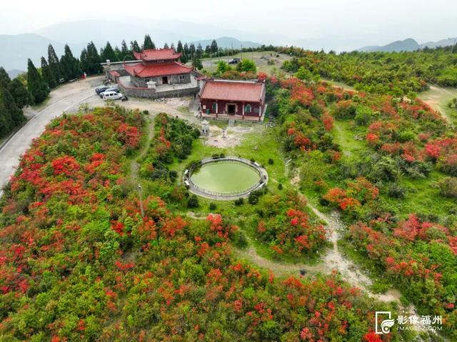 姹紫嫣红！福州进入春日高颜值时刻！