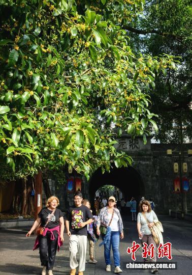 桂花香满桂林城