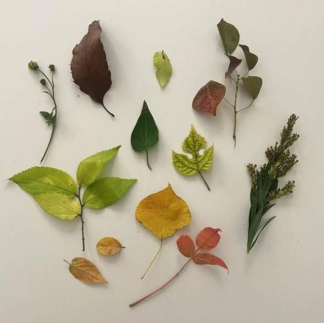 街头大量出现！武进人都去......