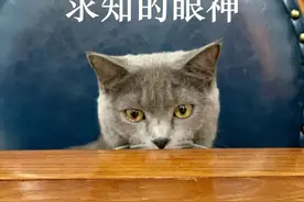 约定赠与女儿的房产被父亲私售给他人，却多年没能过户，购房者家人起诉了……图片