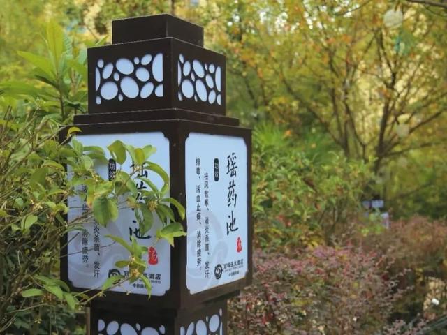 悦·遵义 | 冬游播州——暖冬图鉴，解锁暖身又暖心的“养生趴”