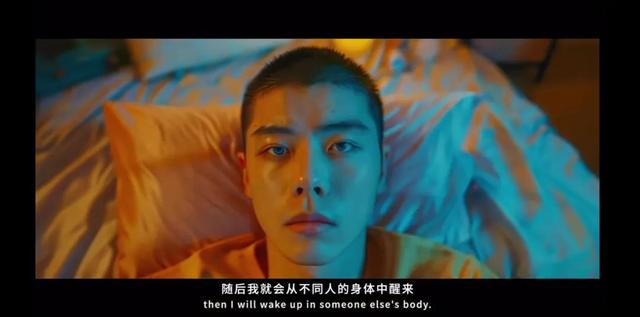 AI生成的猫狗短剧，重演“回家的诱惑”