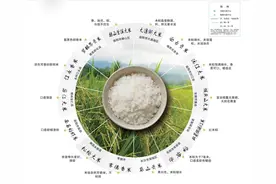 湖南水稻面积全国第一 湖南最好吃的大米在哪里？图片