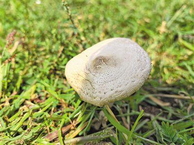 探秘黑羊山