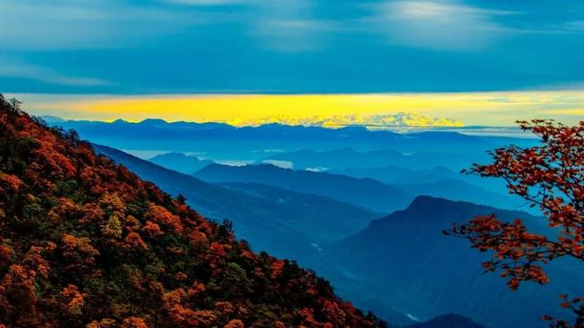 这个秋天一定要去瓦屋山！彩林已经进入最佳观赏期！