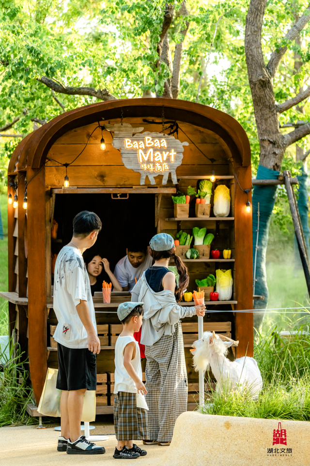 爆了！4万人拿着“登岛”号码牌排队