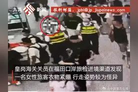 女子身藏15条活体蛇入境 还有4条蜈蚣、1条蜥蜴图片