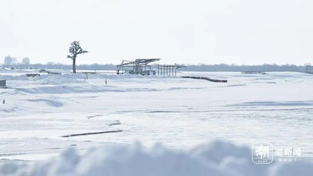 “她的电话	，许多牧民都存着	”！老同事追忆贺娇龙：她很拼；70多岁母亲最新发声：让她静静地离开