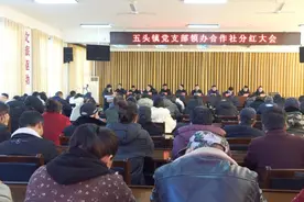 五头镇尚庄村：支部领办合作社 分红增收笑开颜图片