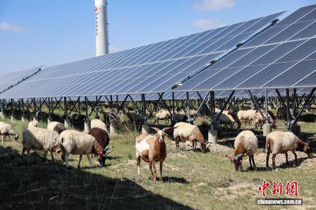 青海“十四五”期间 多维度展现大美青海形象