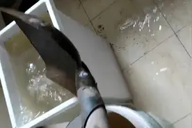 地下车库排水不畅反水至3楼居民家中厨房？记者调查后发现真相是……图片