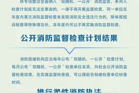 八项贴心之举！消防救援机构便民利企措施上新→图片