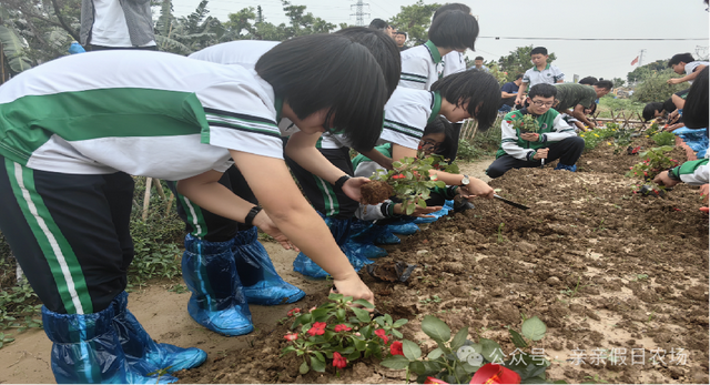 三水的秋天藏在这里！7个必去的研学打卡点，遛娃、学习、赏秋景全不误！
