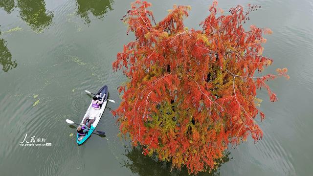 浙江杭州：青山湖秋色醉游人