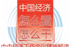 中央经济工作会议精神解读⑥丨肖金成：完善区域战略统筹机制 促进区域高质量发展图片
