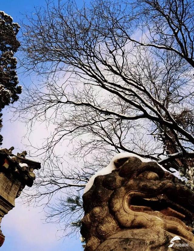 组图丨雪落泰山普照寺 古院美成冬日壁纸