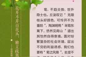 花语寄廉丨菊：花开不并百花丛，独立疏篱趣未穷图片