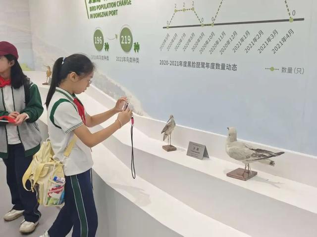 东寨港红树林研学进行时，自然课堂里的欢乐时光～