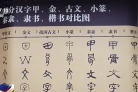 几千年前的“硬骨头”有多少待解之谜？看如何用大数据破译“甲骨密码”图片