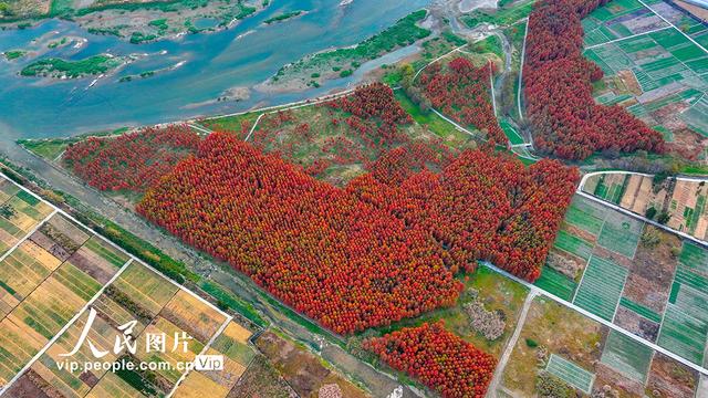 浙江淳安：武强溪生态湿地五彩斑斓