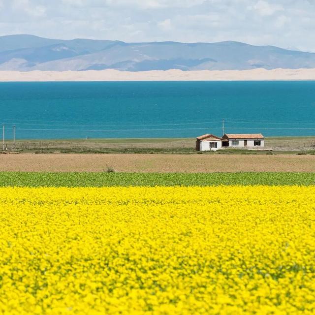 历时一年半，终于可以免费了