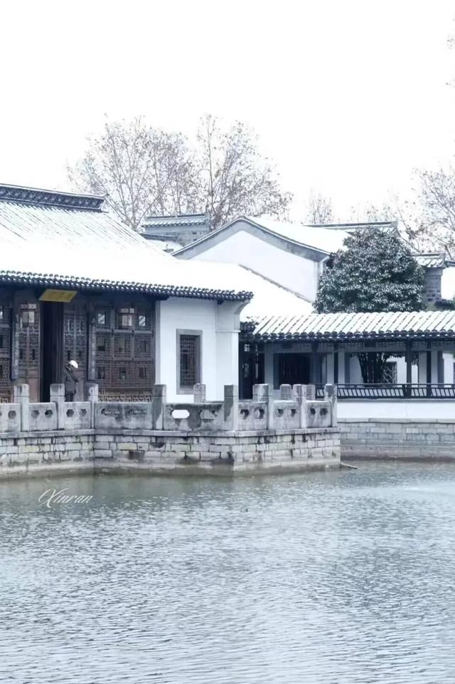 金陵愚园｜如果把罗小黑的“灵质空间”具象化……