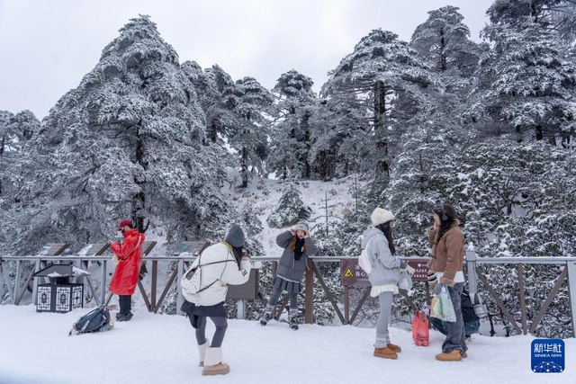 大理苍山：银装素裹美景引客来