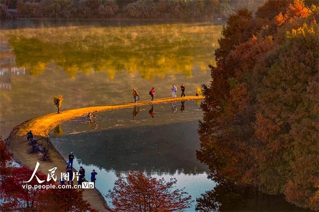 浙江绍兴：层林尽染