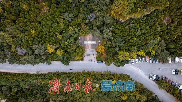 一年四季 泉在济南丨济南腊山生态秘境，邂逅自然之美