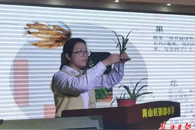 废塑料容器成了花盆，师生种植的吊兰挂满校园图片