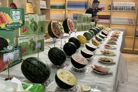 北京自主培育“五色三味”炫彩西瓜发布图片