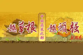 一锅卤水流金淌银，富了群众强了县域 千年武冈 “卤”味长香图片