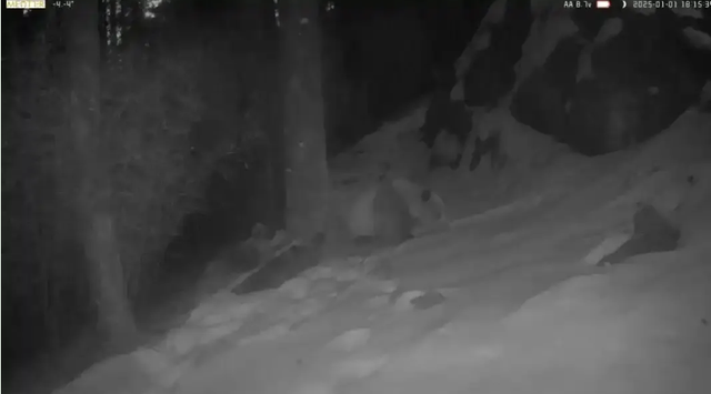 西安人抬头可见的山 越变越美