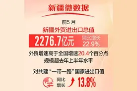 前5月新疆外贸总值同比增长22．9％图片