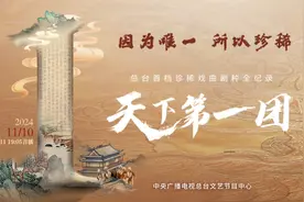 纪录片《天下第一团》：中国稀有剧种的传奇之旅图片