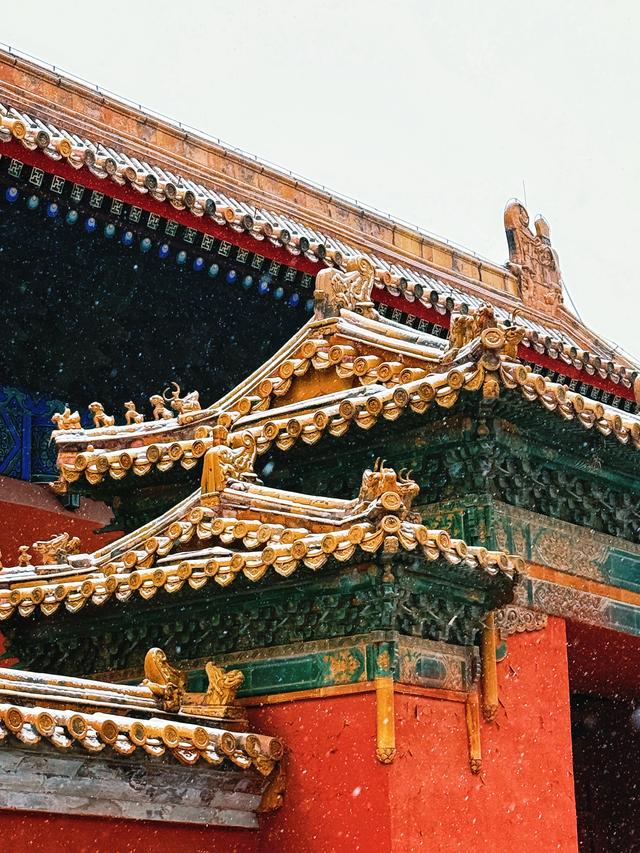 京城初雪如约而至！雪落无声，人游有影