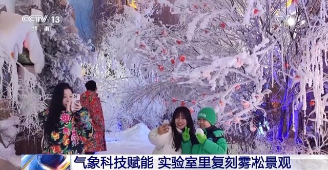 从冬日童话到四季可赏 科技让雾凇美景不再“可遇不可求”