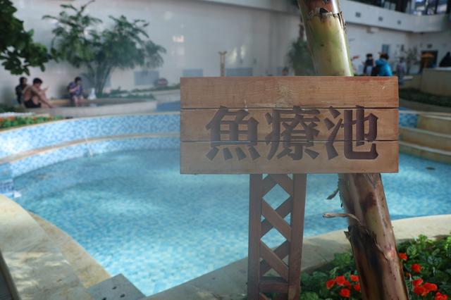 第五届英杰寒地温泉旅游文化节启幕 文旅融合解锁东北冬日新玩法