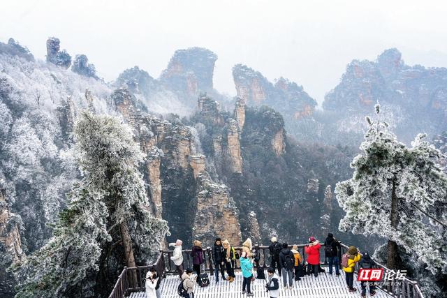 张家界的雪后云海，藏着湖南冬日的浪漫