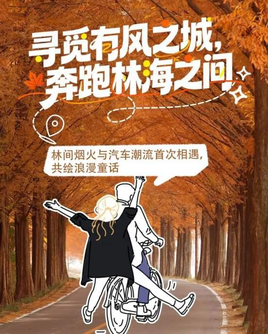 魔都最大水杉林，开始红了！