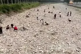 好几百人去河道“淘金”？真相太离谱！已刑事立案！图片