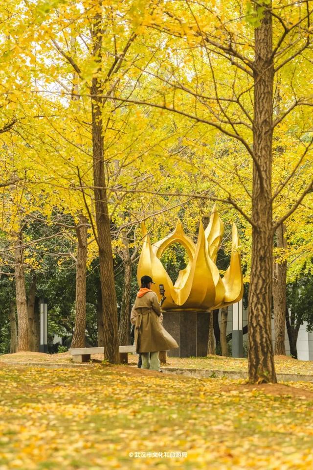 武汉的风有多大？我是被“推”来上班的！