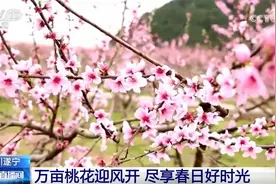 “花样经济”带动乡村旅游全产业链发展 春日文旅市场勾勒“好花常开”画卷图片