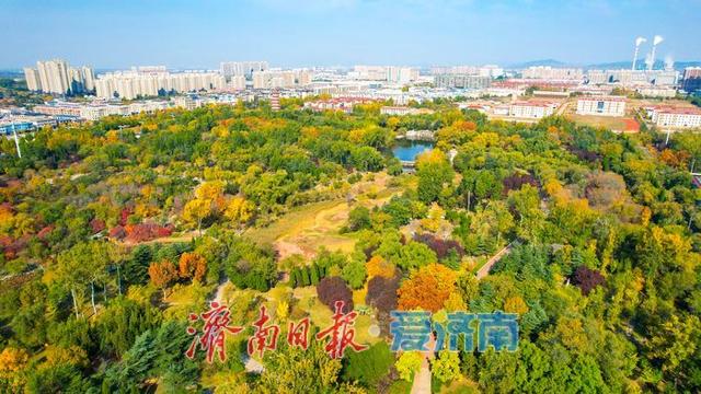 莱芜红石公园秋意浓 红石秋叶绘就多彩画卷