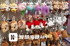 万物皆可挂！年轻人流行给包包找“搭子”图片