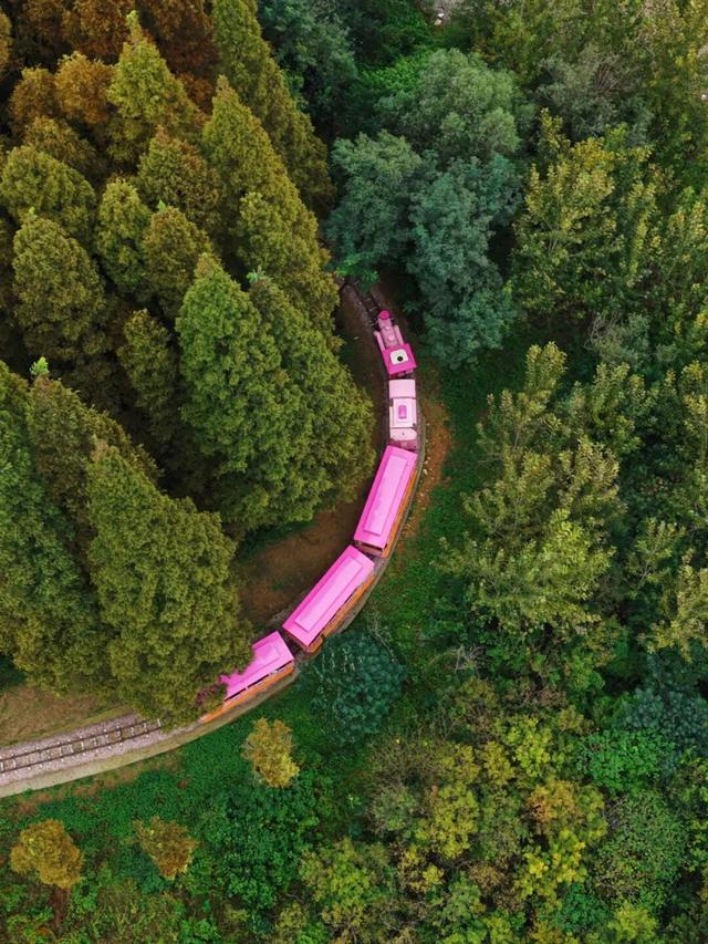 这片焦糖色的“童话森林”，美得藏不住了！