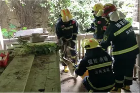 天热多雨蛇出没 南靖消防上演“连环捕蛇计”图片